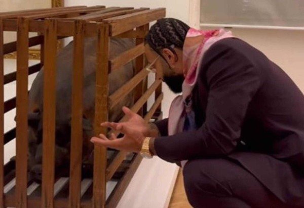 Reprodução Instagram