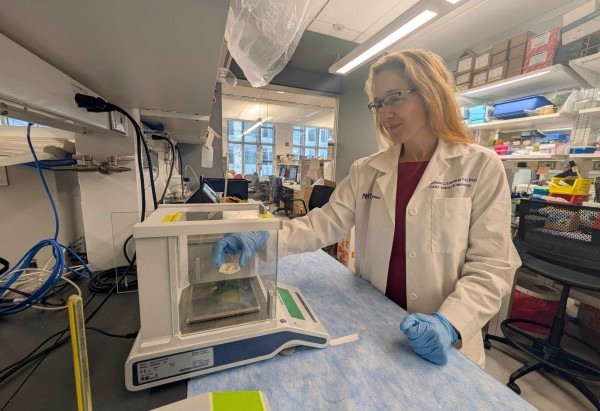 Northwestern University/Divulgação