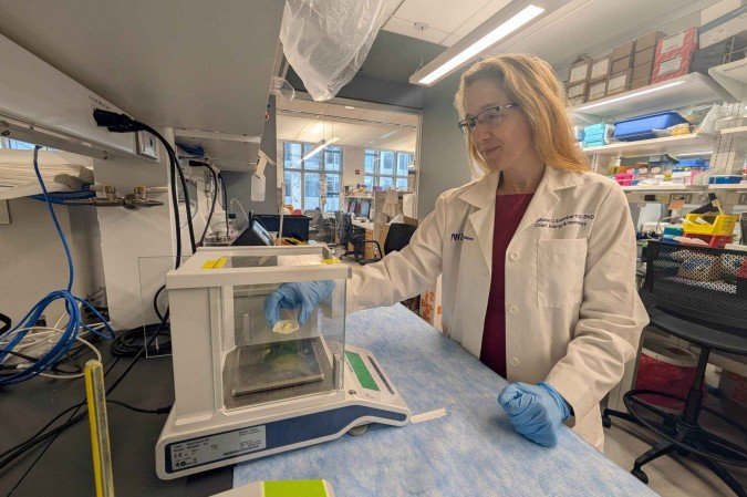 Stephanie Eisenbarth, coautora do estudo, investiga alergias alimentares na Universidade de Northwestern: mistério solucionado em pesquisa com animais 
 -  (crédito: Northwestern University/Divulgação )