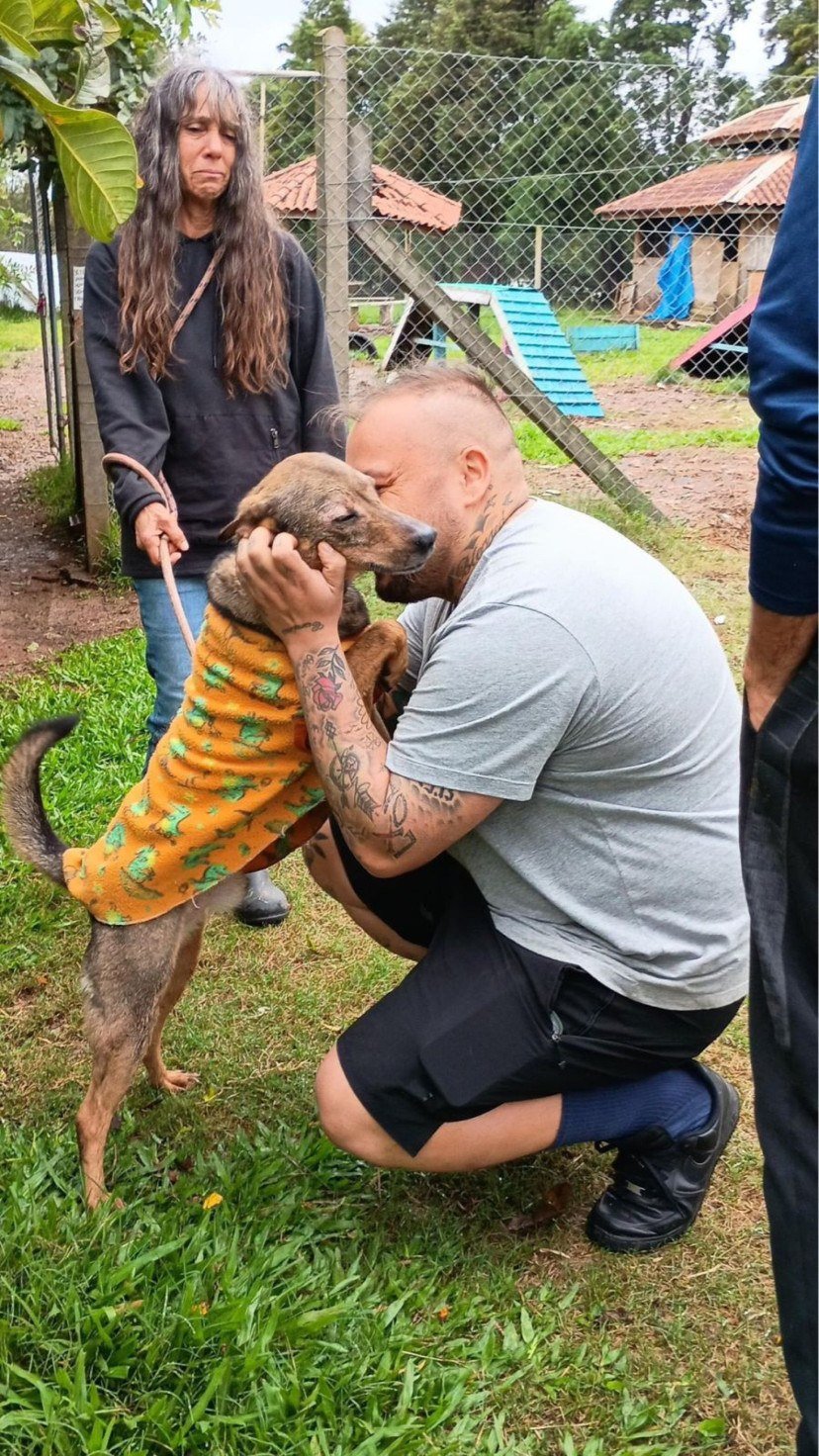 cão reencontra seu dono após mais de um ano desaparecido -  (crédito: Reprodução/instagram/@mcyurirs_)
