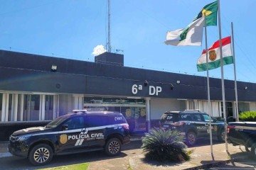 A operação foi realizada por meio da 6ª Delegacia de Polícia - Paranoá -  (crédito: Divulgação/PCDF)