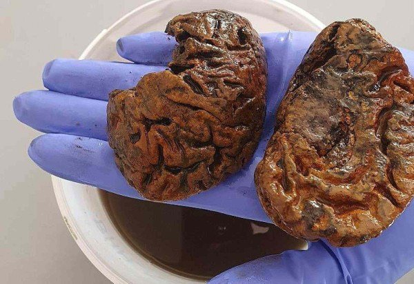 Alexandra Morton-Hayward