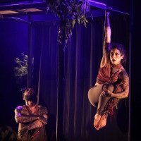 Inabitável
Com Camilla Goulart, Catherine Zilá e Carlos Guerreiro. Amanhã, às 19h, e domingo, às 18h, no Sesc Taguatinga (QNF 24, Taguatinga Norte). Ingressos: R$ 10 (meia) e R$ 20 (inteira), pelo Sympla. Alunos de escolas pública não pagam entrada. Meia-entrada solidária: 1kg de alimento não perecível. Classificação indicativa livre
 -  (crédito: Humberto Araujo)
