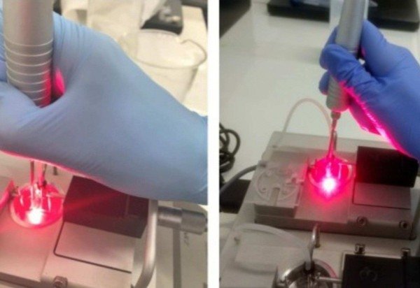 Gerson Rodrigues/UFSCar