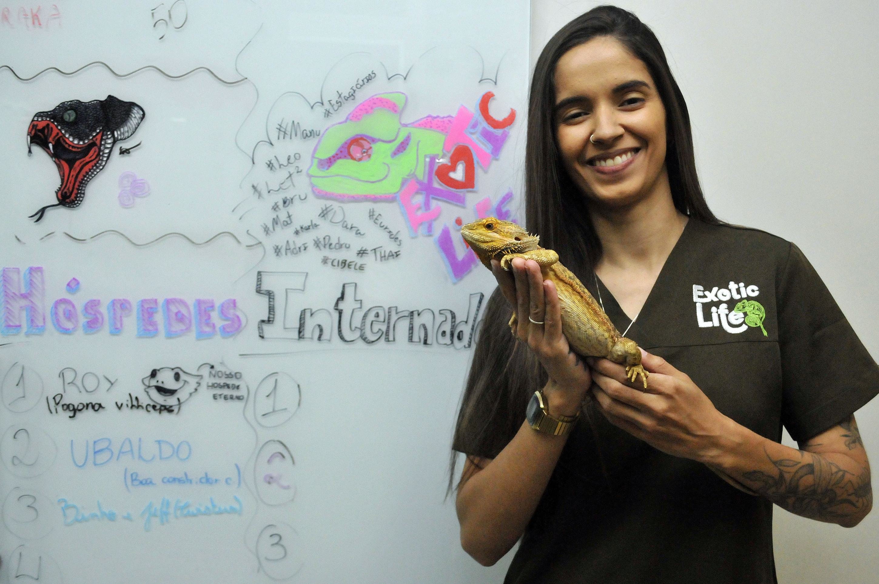  12/08/2025 Crédito: Marcelo Ferreira/CB/D.A Press. Brasil. Brasília - DF -  Aumento da presença de animais silvestres nas cidades. clínica veterinária de animais silvestres, Exotic Life, na Asa Norte. Médica veterinária Kadije Emanuelle Ribeiro Brandão com Pogona Dragão barbudo.