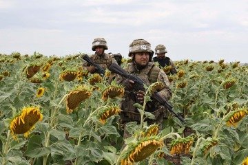 Soldados ucranianos realizam exercícios  de combate em campo de girassóis na região de Zaporizhzhia, no sudeste do país  -  (crédito: Forças Armadas da Ucrânia/AFP)