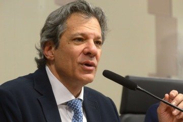 Haddad criticou 'decisões injustas' da Justiça e disse que a sociedade arca com os prejuízos -  (crédito:  Ed Alves CB/DA Press)