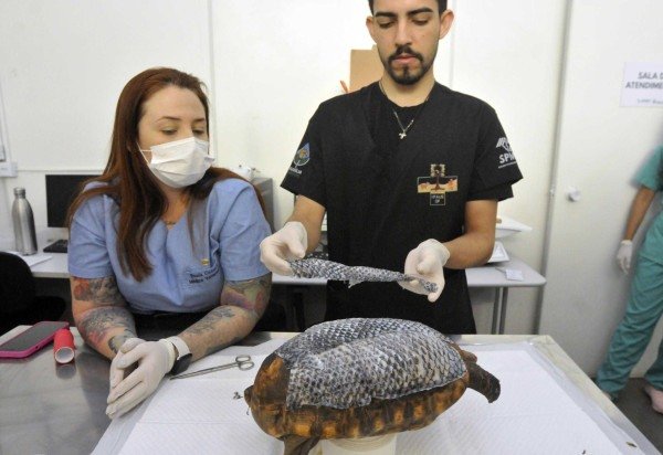 Marcelo Ferreira/CB/D.A Press