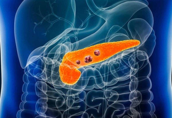 GettyImages/Divulgação 