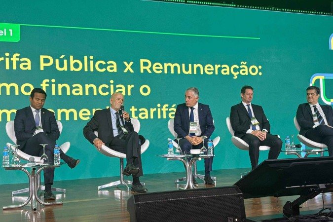 Para os participantes, a colaboração entre os governos federal, estaduais e municipais, em parceria com o setor privado, é vista como crucial -  (crédito: Divulgação)
