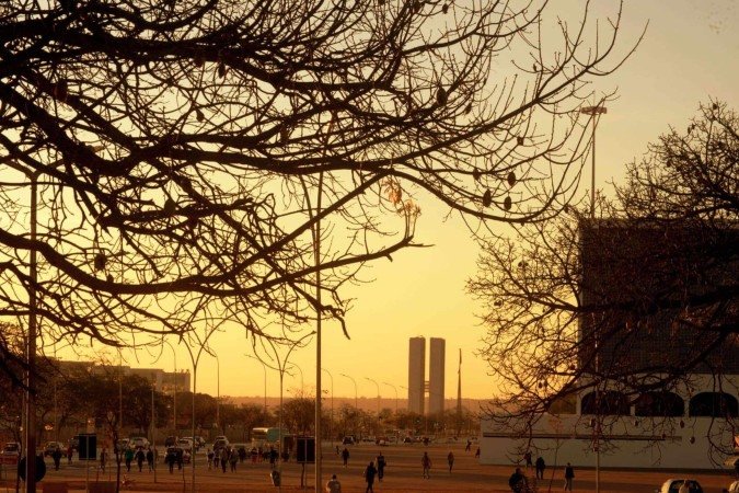 Brasília registrou menor temperatura do ano. Congresso Nacional ao fundo da imagem, com árvore de galhos retorcidos em primeiro plano -  (crédito: Ed Alves/CB/DA Press)