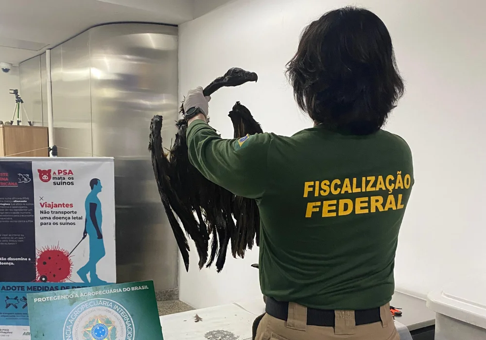 Mapa apreende mais de 130 animais e partes de alto risco sanitário provenientes da Nigéria -  (crédito: Sistema de Vigilância Agropecuária Internacional (Vigiagro))
