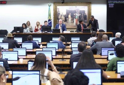 Segundo o presidente do colegiado, deputado Paulo Azi (União-BA), o papel da comissão está bem definido: 