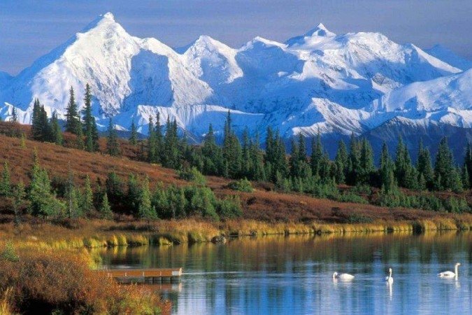 Por que Trump e Putin vão se encontrar no Alasca e outras 4 perguntas - (crédito: BBC) Por que Trump e Putin vão se encontrar no Alasca e outras 4 perguntas - (crédito: BBC)