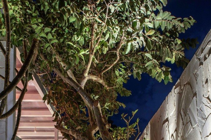 Ainda pensando em jardins, o ambiente Refúgio Verde aparece como uma celebração à pausa