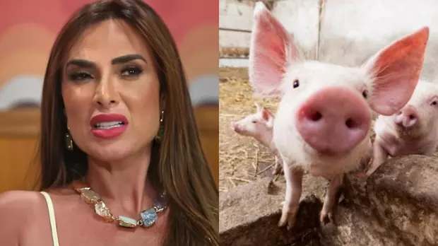 Nicole Bahls - (crédito: Reprodução/Instagram) Nicole Bahls - (crédito: Reprodução/Instagram)