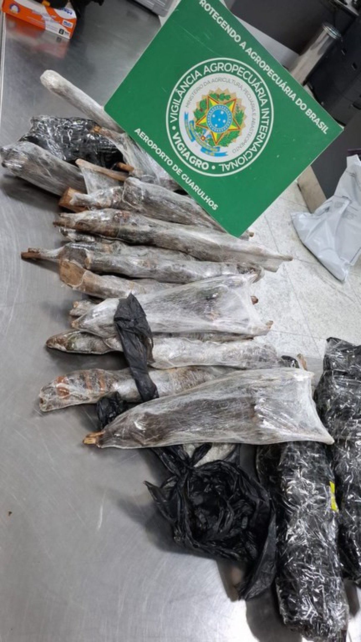 Ratos empalados e abutres na bagagem