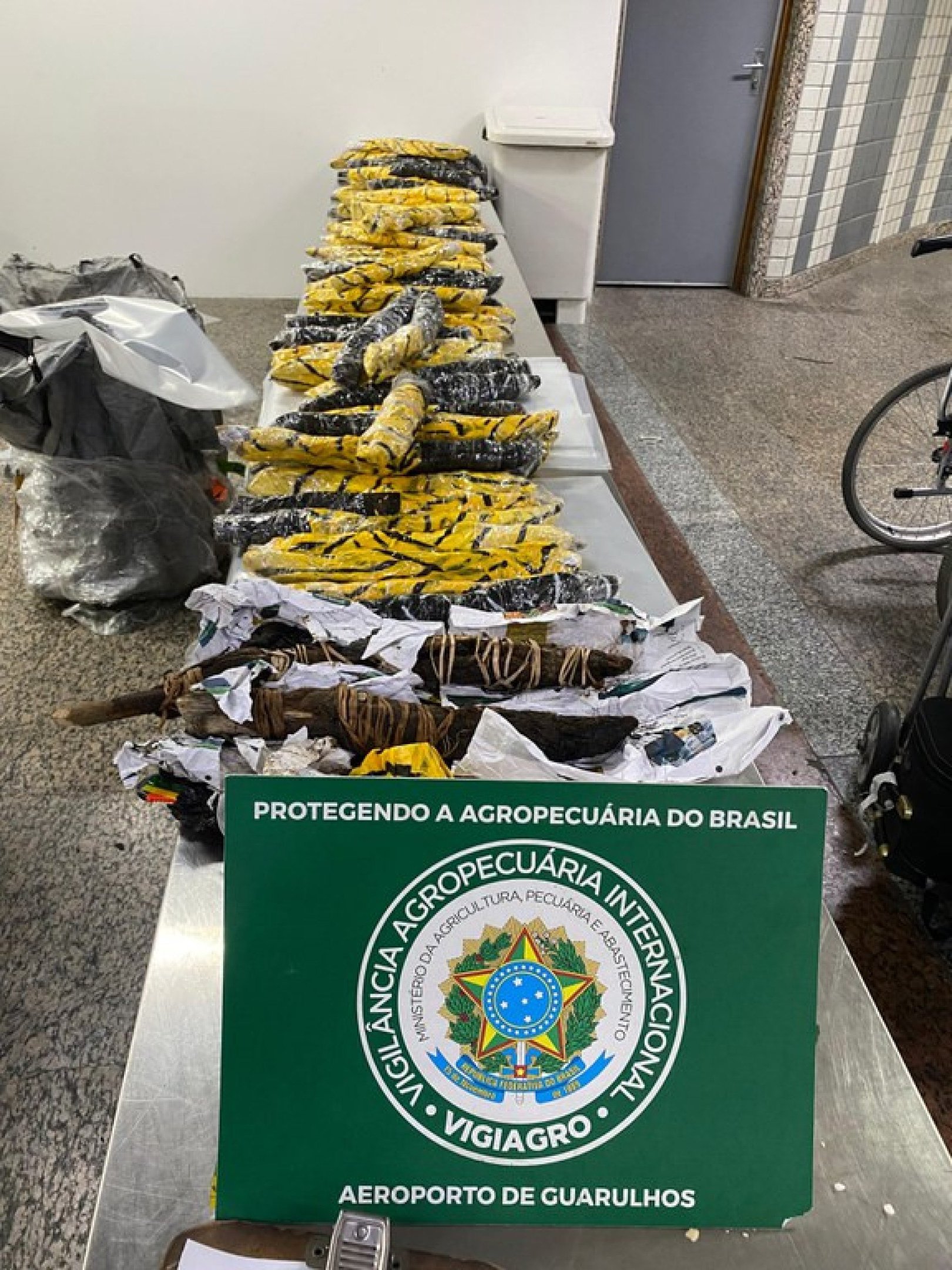 Ratos empalados e abutres na bagagem