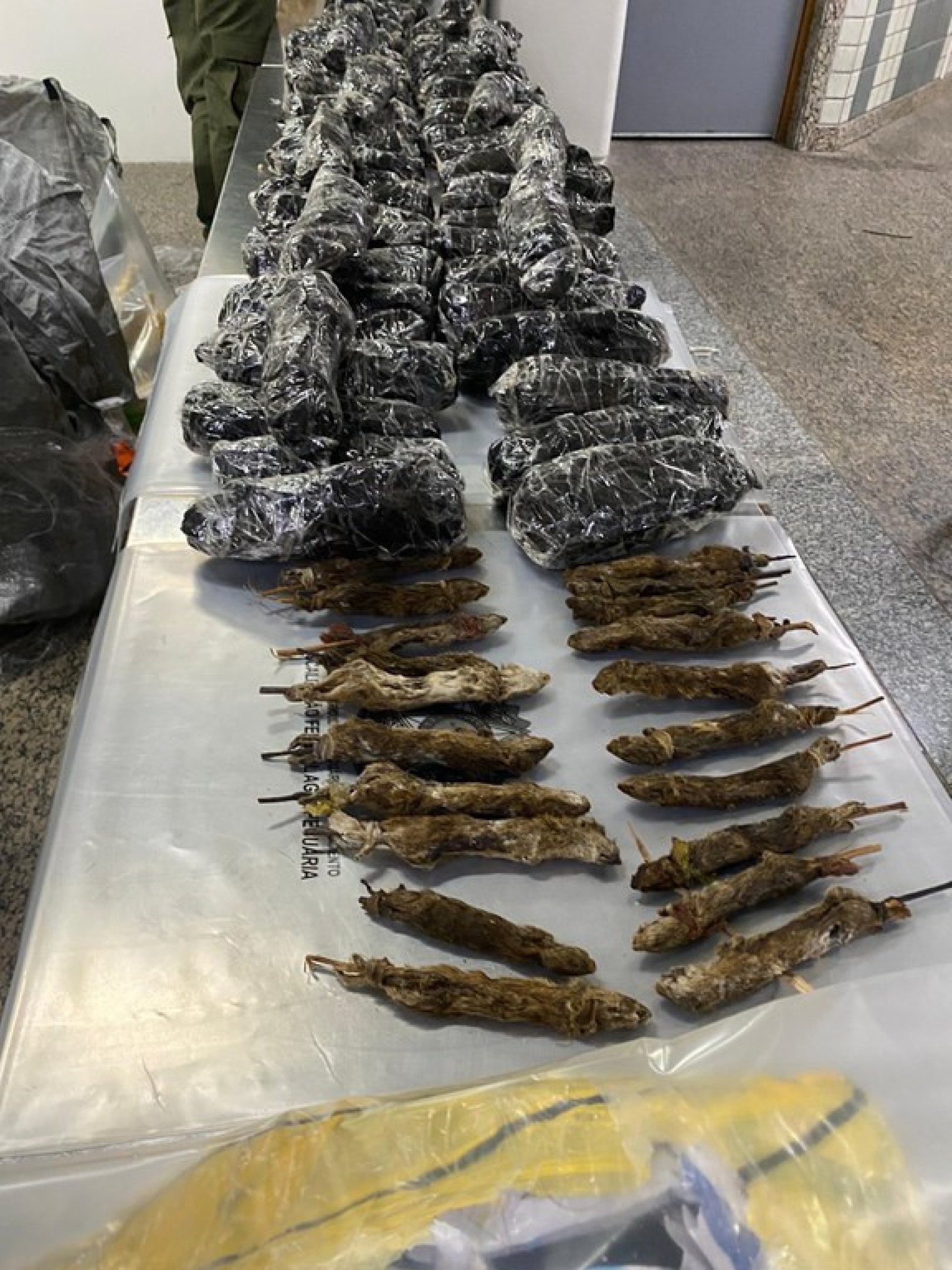 Ratos empalados e abutres na bagagem