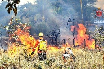 As chamas foram registradas em várias cidades, como Gama, Santa Maria, Samambaia e São Sebastião -  (crédito: Divulgação/CBMDF)
