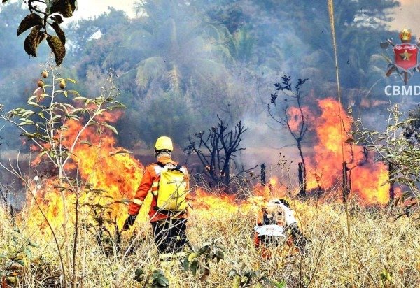 Divulgação/CBMDF