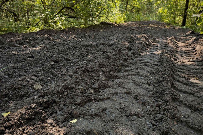  This photograph shows a road under construction through Losiny Ostrov National Park (Elk Island) outside Moscow on August 6, 2025. Russian law prohibits construction in national parks but local authorities got around it by arguing that the project consisted of 