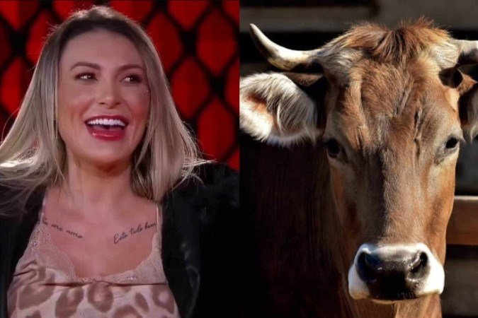 Homem com fetiche em ser corno faz pedido inusitado à Andressa Urach -  (crédito: SBT/Divulgação)
