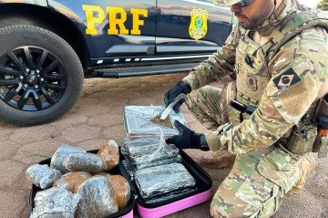 O cão K9 Black indicou a presença da maconhan nas malas da adolescente. - (crédito: PRF) O cão K9 Black indicou a presença da maconhan nas malas da adolescente. - (crédito: PRF)