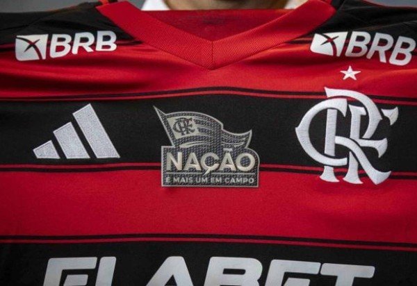 Foto: Hermes de Paula / Flamengo