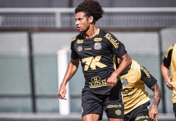 Foto: Raul Baretta/ Santos FC