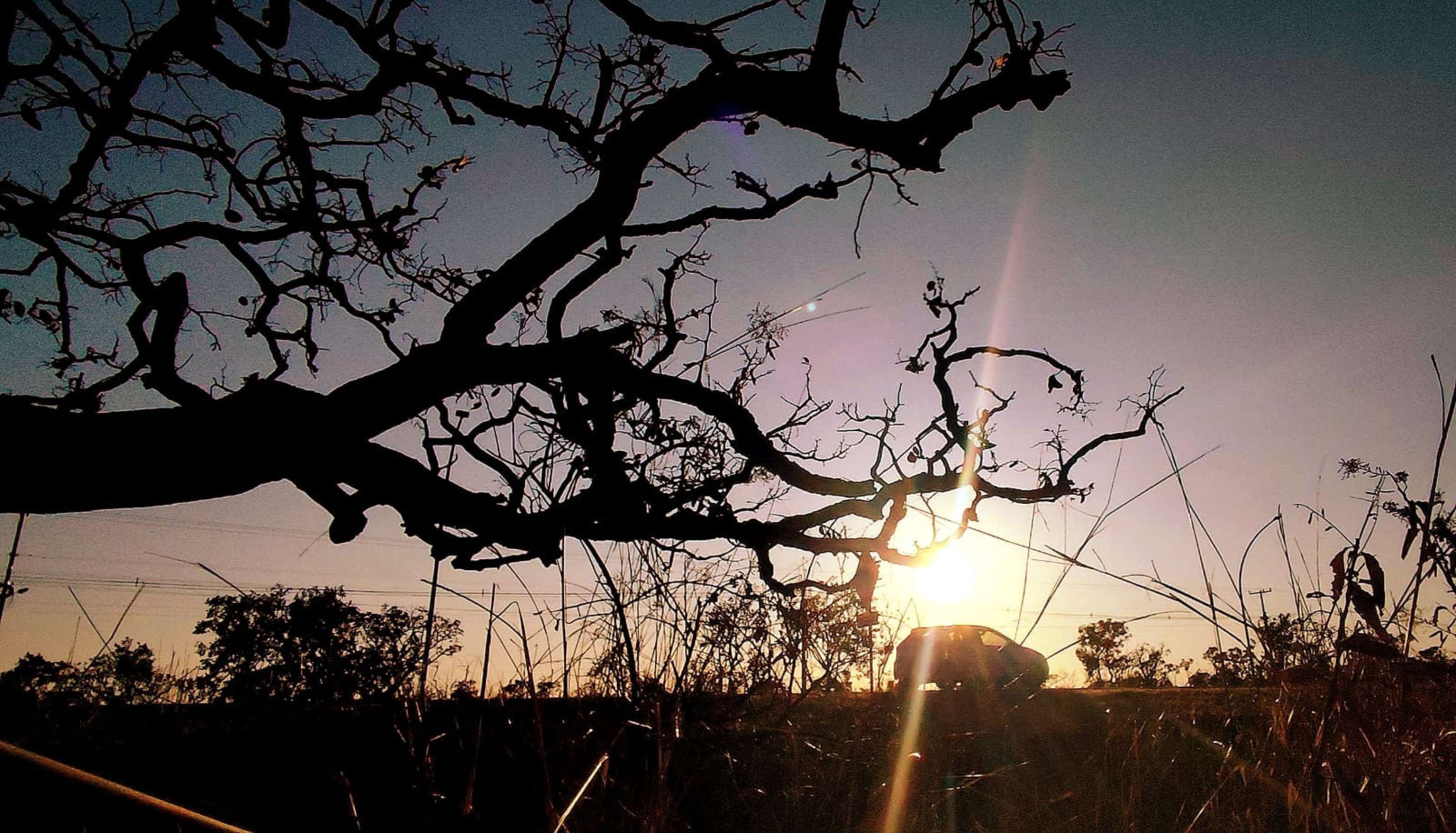 Feriado deve ser de calorão e baixa umidade; chance de chuva é baixa