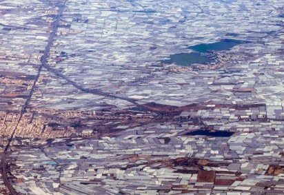Instituições ambientais fazem um apelo para que seja realizada uma avaliação da produção em Almeria, de modo que seja sustentável  -  (crédito: BBC)