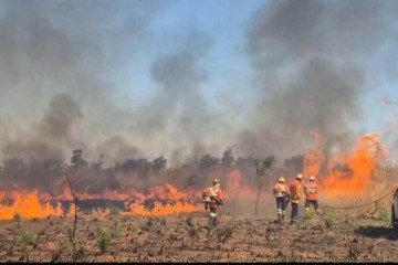 Combate ao incêndio no Jardins Mangueiral -  (crédito: Minervino Júnior/CB/DA Press)