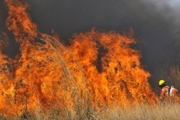 Foram contabilizadas 29 ocorrências ao longo desta quarta-feria (27/8) -  (crédito: Minervino Júnior/CB/D.A.Press)