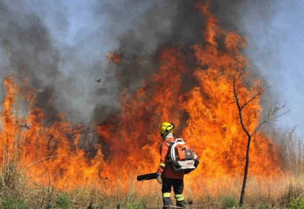 Minervino Júnior/CB/D.A Press