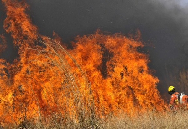 Minervino Júnior/CB/D.A.Press