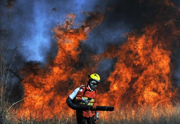 Minervino Júnior/CB