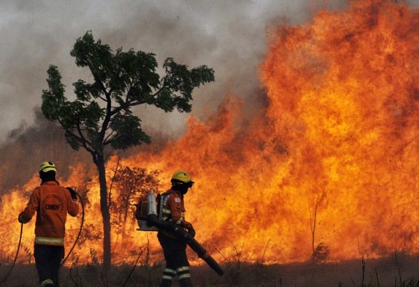 Minervino Júnior/CB/D.A.Press