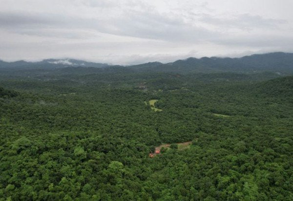 Zoshua Colah/Unsplash