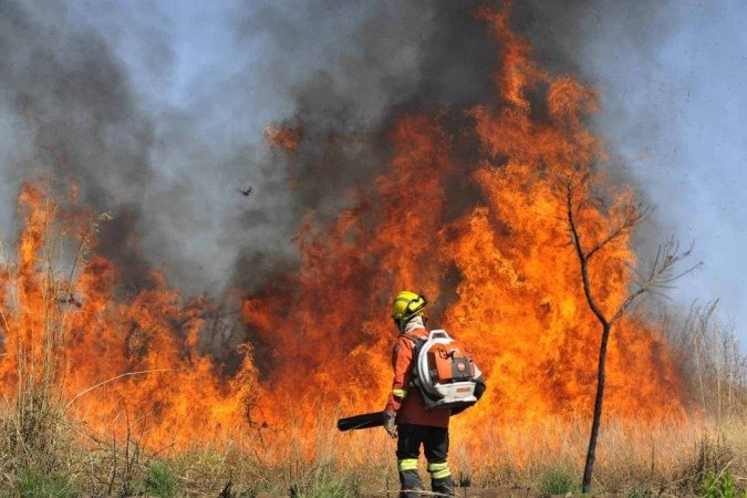 Incêndio de grandes proporções atinge área de mata em São Sebastião -  (crédito: Minervino Júnior/CB/D.A Press)
