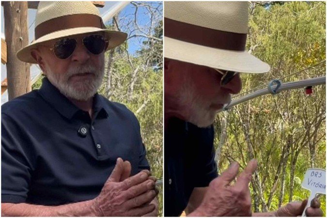 Lula planta uva no Palácio do Alvorada -  (crédito: Reprodução/Instagram)