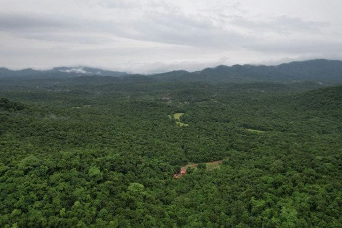 O fundo será discutido na Conferência do Clima, de 10 a 21 de novembro -  (crédito: Zoshua Colah/Unsplash)