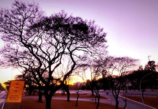 Ed Alves CB/DA Press