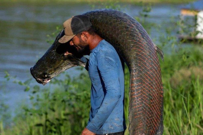 Acessórios com couro de pirarucu que custam milhares de reais são anunciados no site da marca Osklen - (crédito: Osklen/Reprodução) Acessórios com couro de pirarucu que custam milhares de reais são anunciados no site da marca Osklen - (crédito: Osklen/Reprodução)