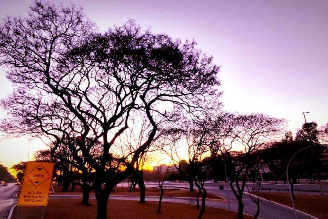 Tempo seco e variação de temperaturas marcam o inverno brasiliense -  (crédito: Ed Alves CB/DA Press)