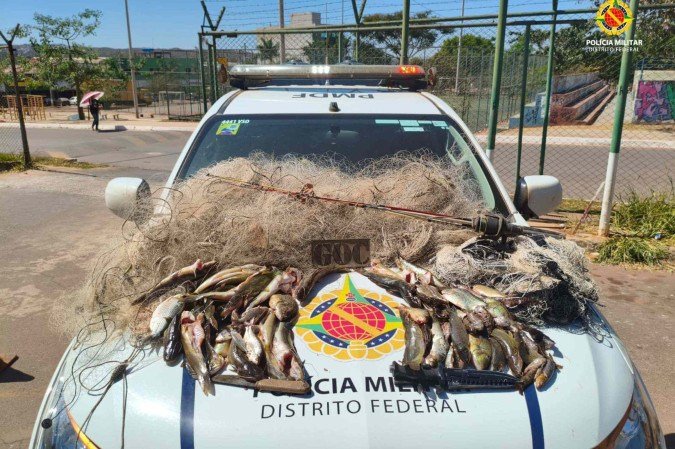 230 metros de rede e 78 peixes pescados de forma ilegal são apreendidos por Polícia Militar Ambiental -  (crédito: Ana Carolina Alves/CB)