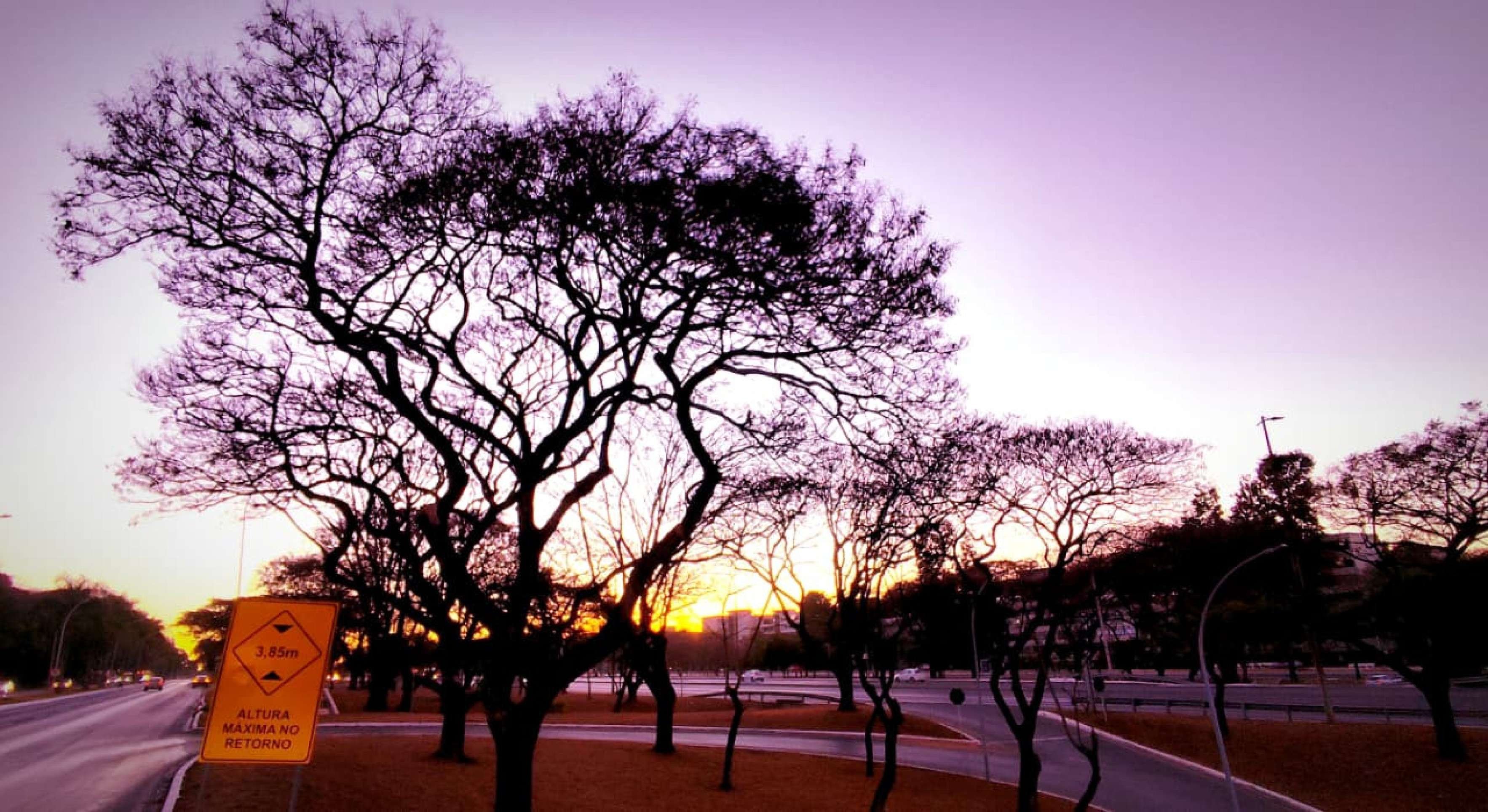 DF tem previsão de calor à tarde e umidade em queda