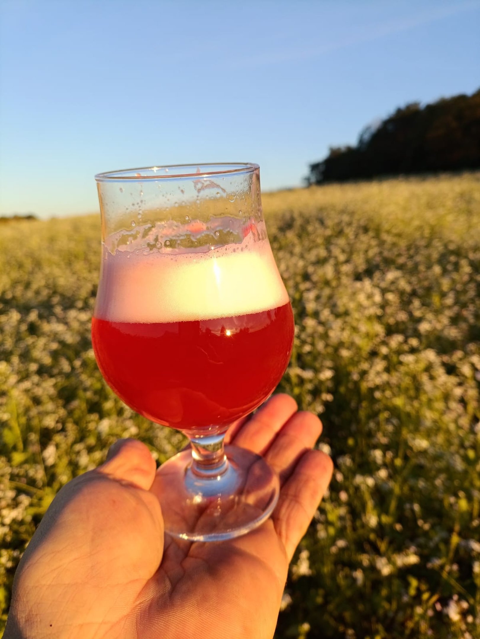 Conheça o chope de morango do amor