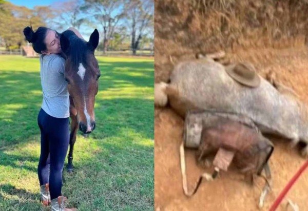 Reprodução/Divulgação