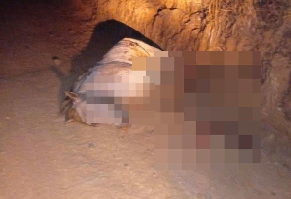 Reprodução/Redes sociais